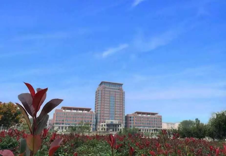 山東力明科技職業(yè)學(xué)院 山東力明科技職業(yè)學(xué)院