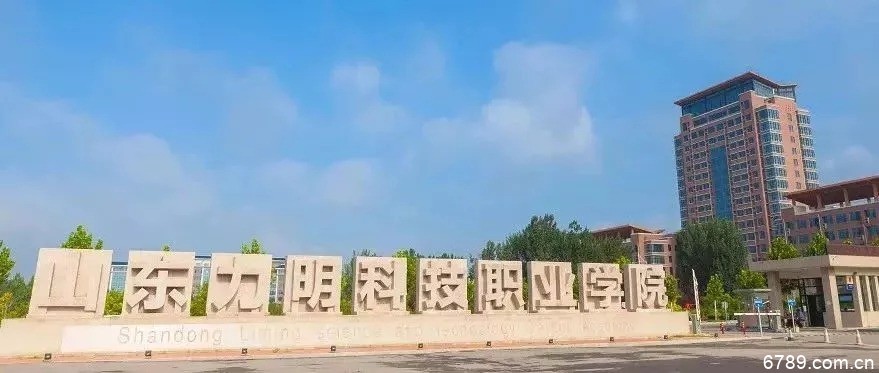 山東力明科技職業(yè)學院 山東力明科技職業(yè)學院