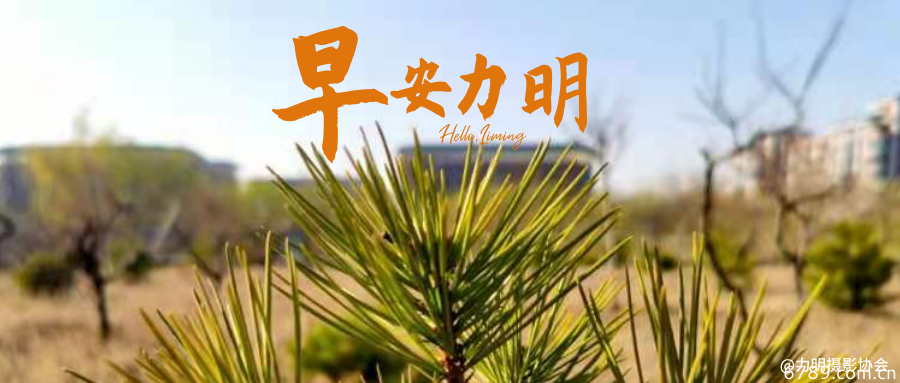 山東力明科技職業(yè)學院
