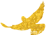 山東力明科技職業(yè)學(xué)院 山東力明科技職業(yè)學(xué)院