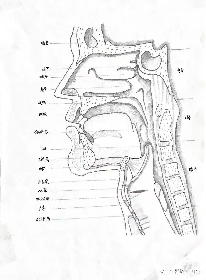 山東力明科技職業(yè)學(xué)院 山東力明科技職業(yè)學(xué)院