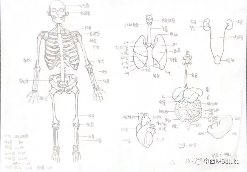 山東力明科技職業(yè)學(xué)院 山東力明科技職業(yè)學(xué)院
