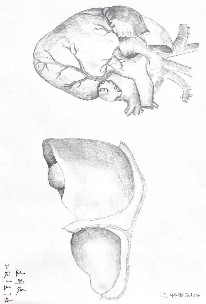 山東力明科技職業(yè)學(xué)院 山東力明科技職業(yè)學(xué)院