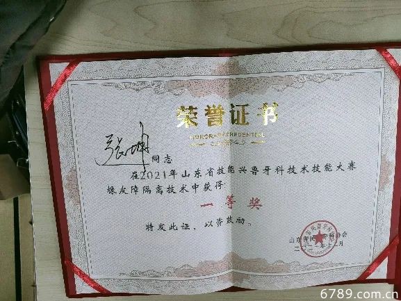 山東力明科技職業(yè)學院 山東力明科技職業(yè)學院