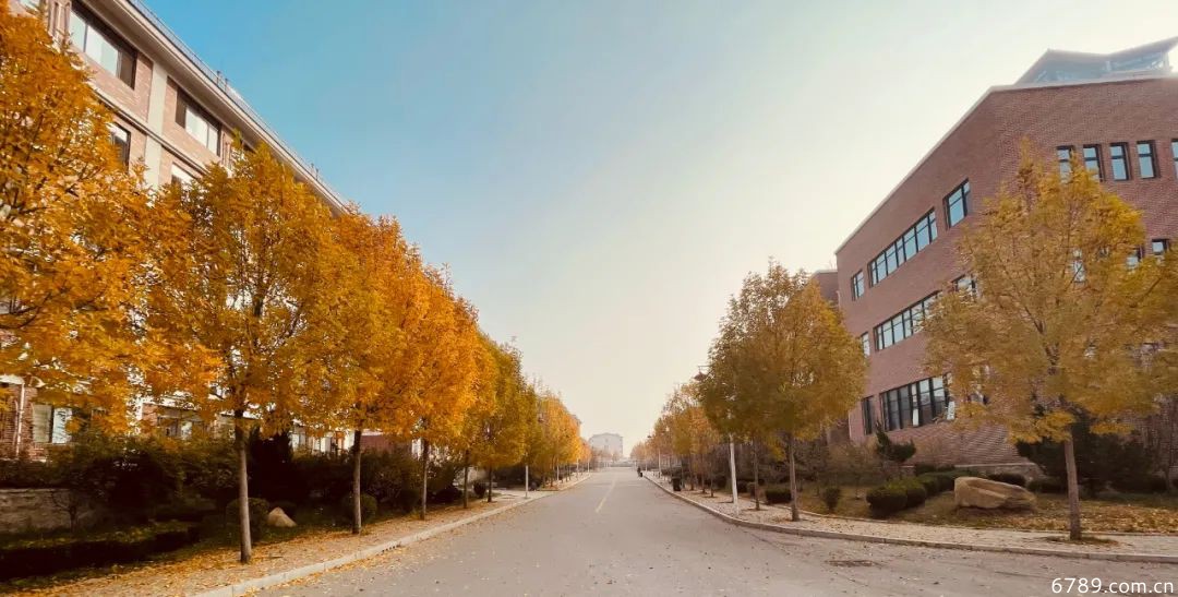 山東力明科技職業(yè)學院