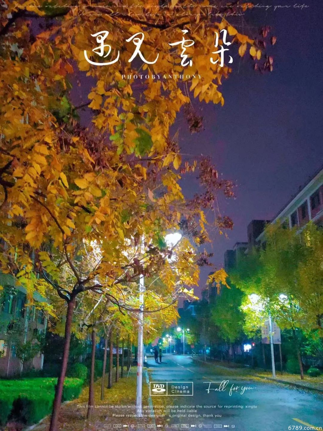 山東力明科技職業(yè)學院