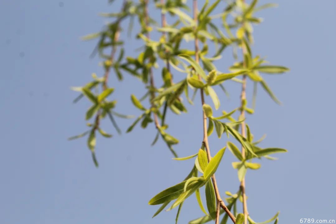 山東力明科技職業(yè)學(xué)院 山東力明科技職業(yè)學(xué)院
