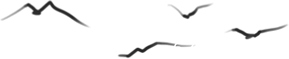 山東力明科技職業(yè)學(xué)院 山東力明科技職業(yè)學(xué)院