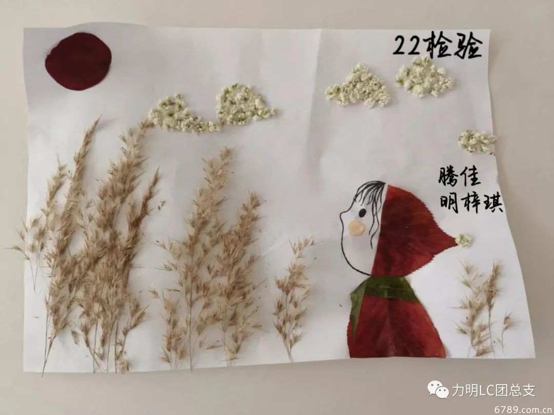 山東力明科技職業(yè)學院
