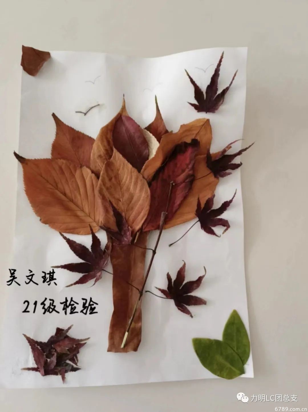 1669180935747455.jpg 山東力明科技職業(yè)學院