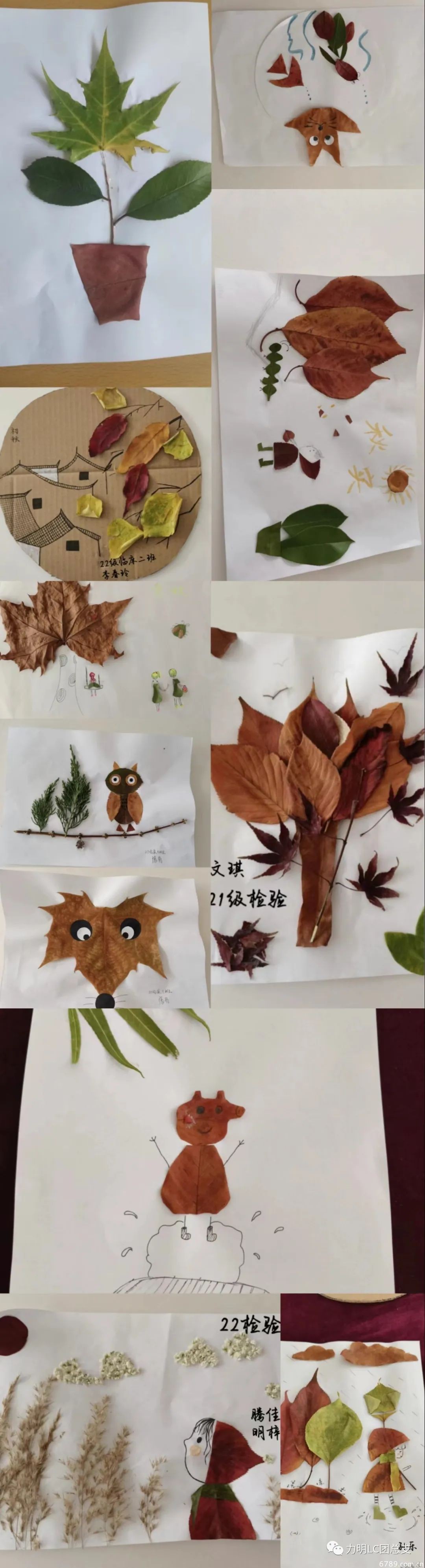 山東力明科技職業(yè)學院 山東力明科技職業(yè)學院