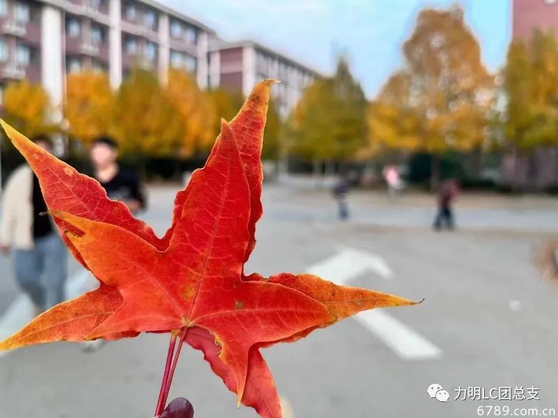 山東力明科技職業(yè)學院